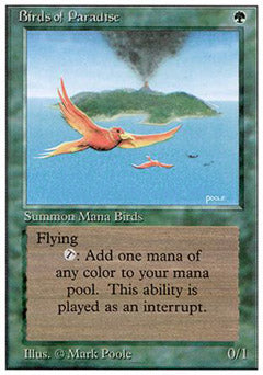 Birds of Paradise (Unlimited) Good