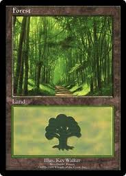 Forest EURO Red Promo (Broceliande France) (Promotional Cards) Near Mint Foil