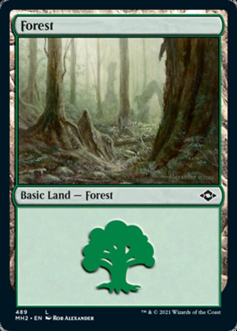 Forest (489) (Modern Horizons 2) Near Mint Etched Foil