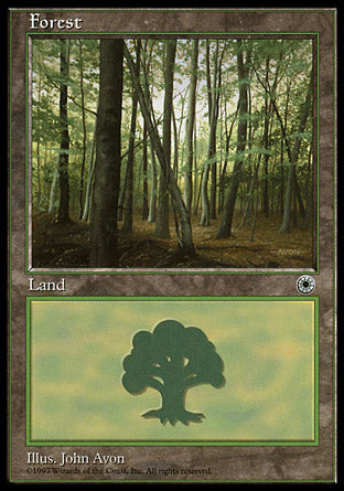 Forest B (Portal) Light Play