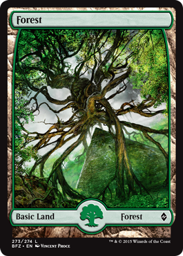 Forest (273) (Full Art) (Battle for Zendikar) Near Mint