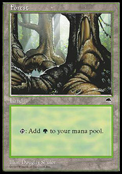 Forest B (Tempest) Light Play