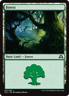Forest (297) (Shadows Over Innistrad) Near Mint