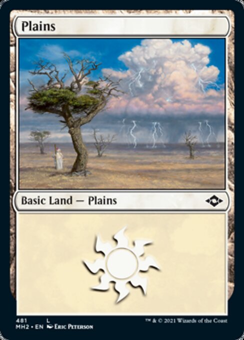 Plains (481) (Modern Horizons 2) Near Mint Etched Foil