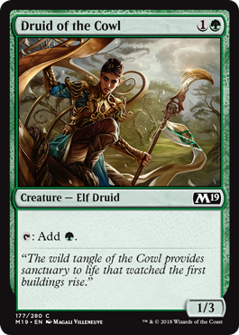 Druid of the Cowl (Magic 2019 Core Set) Near Mint