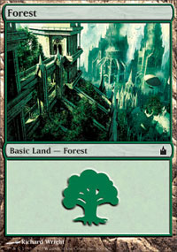 Forest (306) (Ravnica) Near Mint