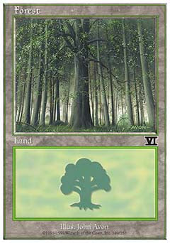 Forest (349) (Classic 6th Edition) Near Mint