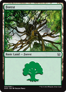 Forest (34) (Duel Decks: Nissa vs Ob Nixilis) Near Mint