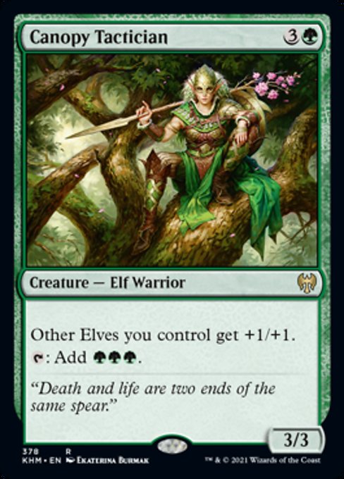 Canopy Tactician (Kaldheim) Near Mint