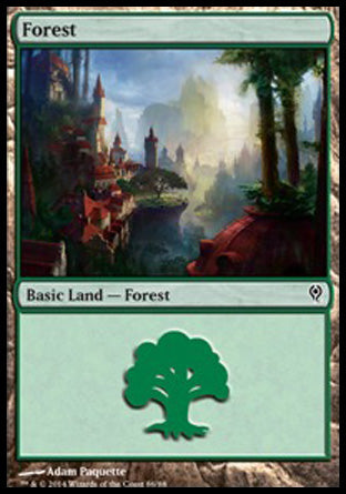 Forest (86) (Duel Decks: Jace vs Vraska) Near Mint