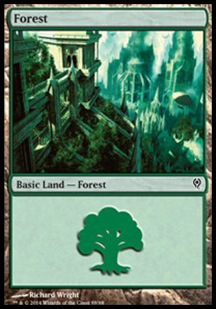 Forest (88) (Duel Decks: Jace vs Vraska) Near Mint