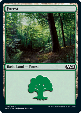 Forest (273) (Magic 2021 Core Set) Near Mint Foil