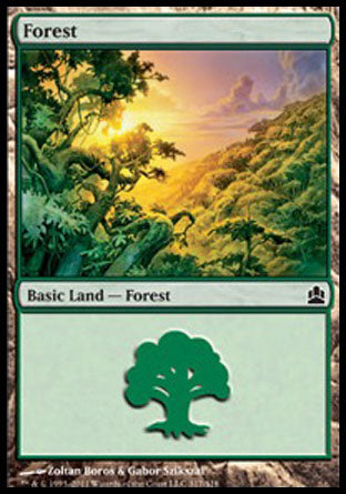 Forest (317) (Commander) Near Mint