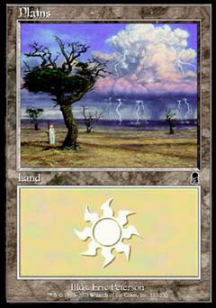 Plains (333) (Odyssey) Near Mint Chinese