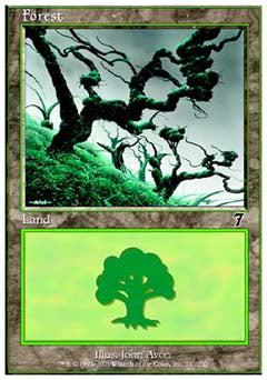 Forest (330) (7th Edition) Near Mint Foil