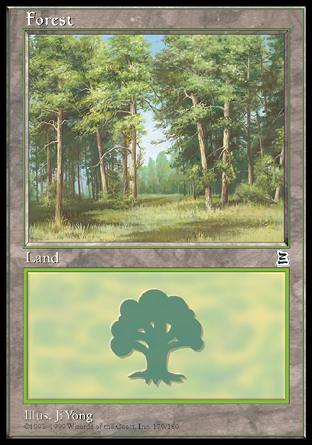 Forest (179) (Portal Three Kingdoms) Near Mint
