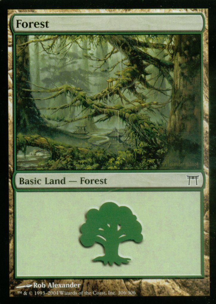 Forest (306) (Champions of Kamigawa) Light Play