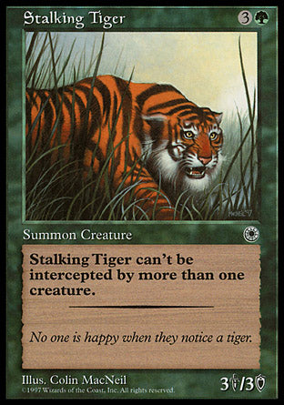 Stalking Tiger (Portal) Light Play