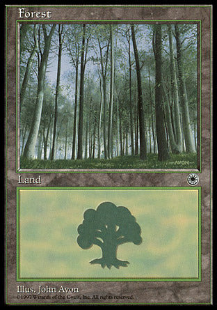 Forest D (Portal) Light Play