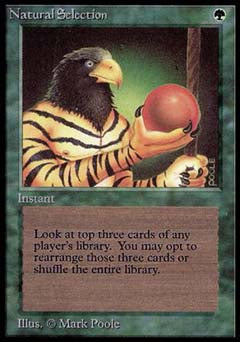 Natural Selection (Alpha) Near Mint