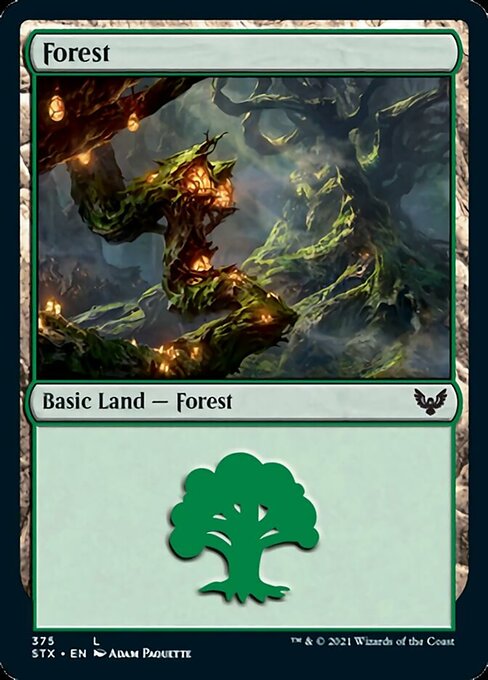 Forest (375) (Strixhaven) Near Mint