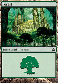 Forest (305) (Ravnica) Near Mint Foil