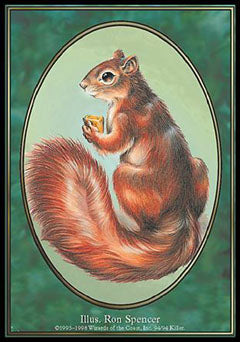 Squirrel (Unglued) Near Mint
