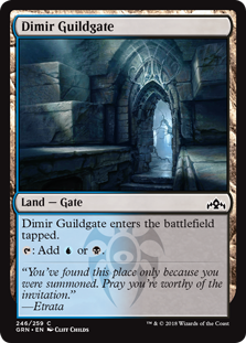 Dimir Guildgate (246) (Guilds of Ravnica) Near Mint Foil