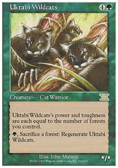 Uktabi Wildcats (Classic 6th Edition) Good