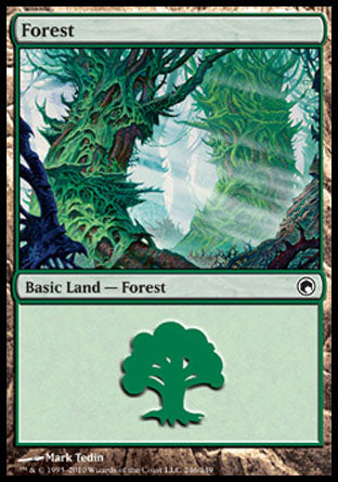 Forest (246) (Scars of Mirrodin) Near Mint