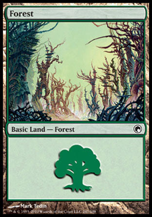 Forest (247) (Scars of Mirrodin) Near Mint