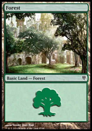 Forest (85) (Duel Decks: Jace vs Vraska) Near Mint