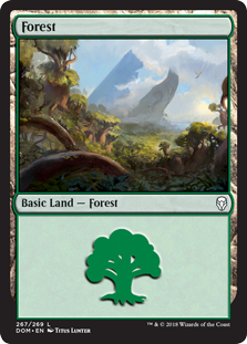 Forest (267) (Dominaria) Near Mint