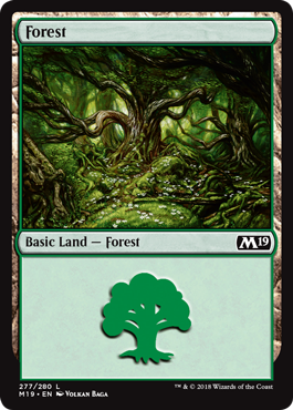 Forest (277) (Magic 2019 Core Set) Near Mint