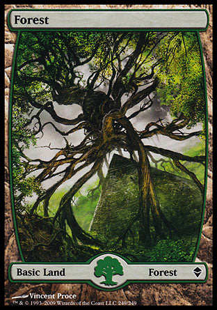 Forest (249) (Zendikar) Near Mint