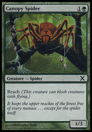 Canopy Spider (10th Edition) Near Mint Japanese