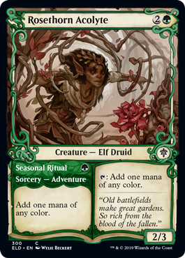 Rosethorn Acolyte (Showcase) (Throne of Eldraine) Near Mint Foil