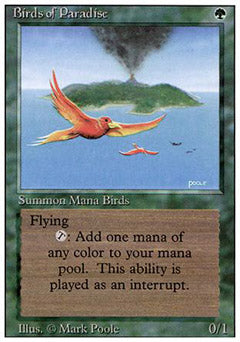 Birds of Paradise (Revised) Light Play