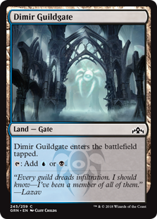Dimir Guildgate (245) (Guilds of Ravnica) Near Mint
