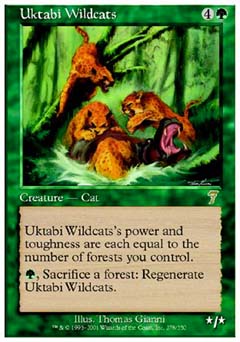 Uktabi Wildcats (7th Edition) Near Mint Simplified Chinese