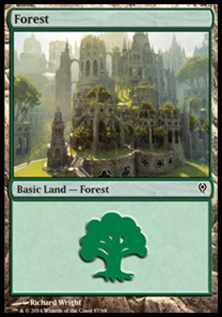 Forest (87) (Duel Decks: Jace vs Vraska) Near Mint