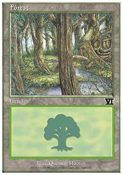Forest (348) (Classic 6th Edition) Near Mint
