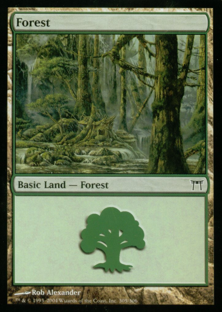 Forest (305) (Champions of Kamigawa) Near Mint Foil