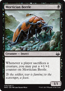 Mortician Beetle (Modern Masters 2017) Near Mint