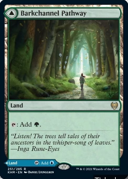 Barkchannel Pathway / Tidechannel Pathway (Kaldheim) Near Mint Foil