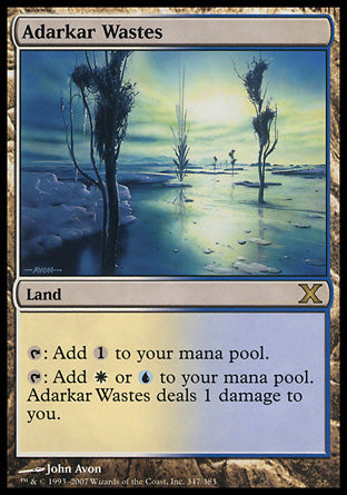 Adarkar Wastes (10th Edition) Near Mint Foil