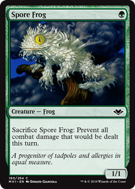 Spore Frog (Modern Horizons) Near Mint