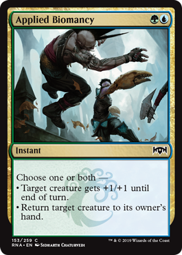 Applied Biomancy (Ravnica Allegiance) Near Mint Foil