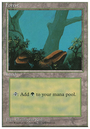 Forest C (4th Edition) Light Play