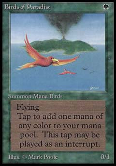 Birds of Paradise (Beta) Light Play